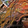 屋根