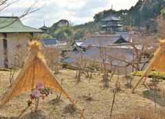 塔と花