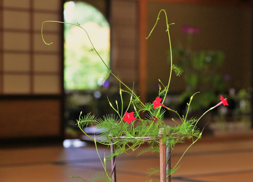 伸びやかに