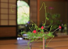 伸びやかに