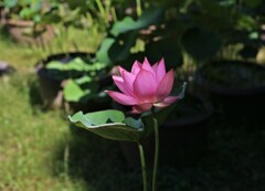明暗