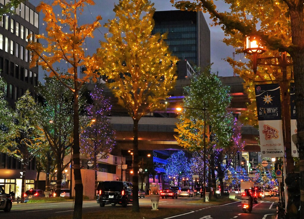 イルミネーション