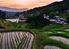 里山の梅雨