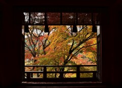 紅葉