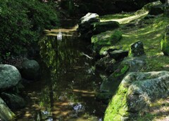 止まった流れ