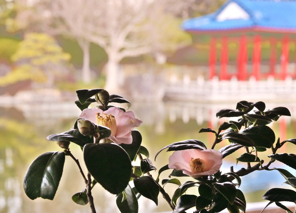 花映ゆる