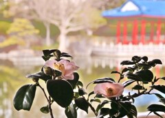 花映ゆる