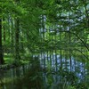 水鏡