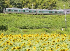夏列車