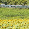 夏列車