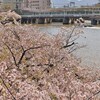 春の京阪