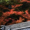 紅燃ゆ