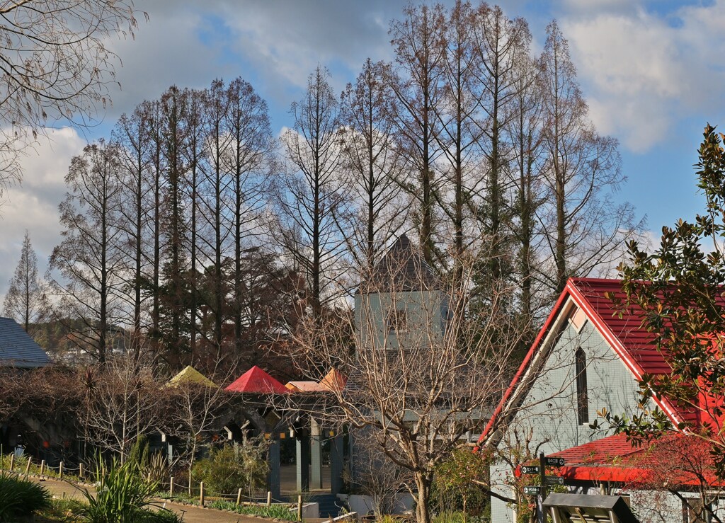 赤い屋根