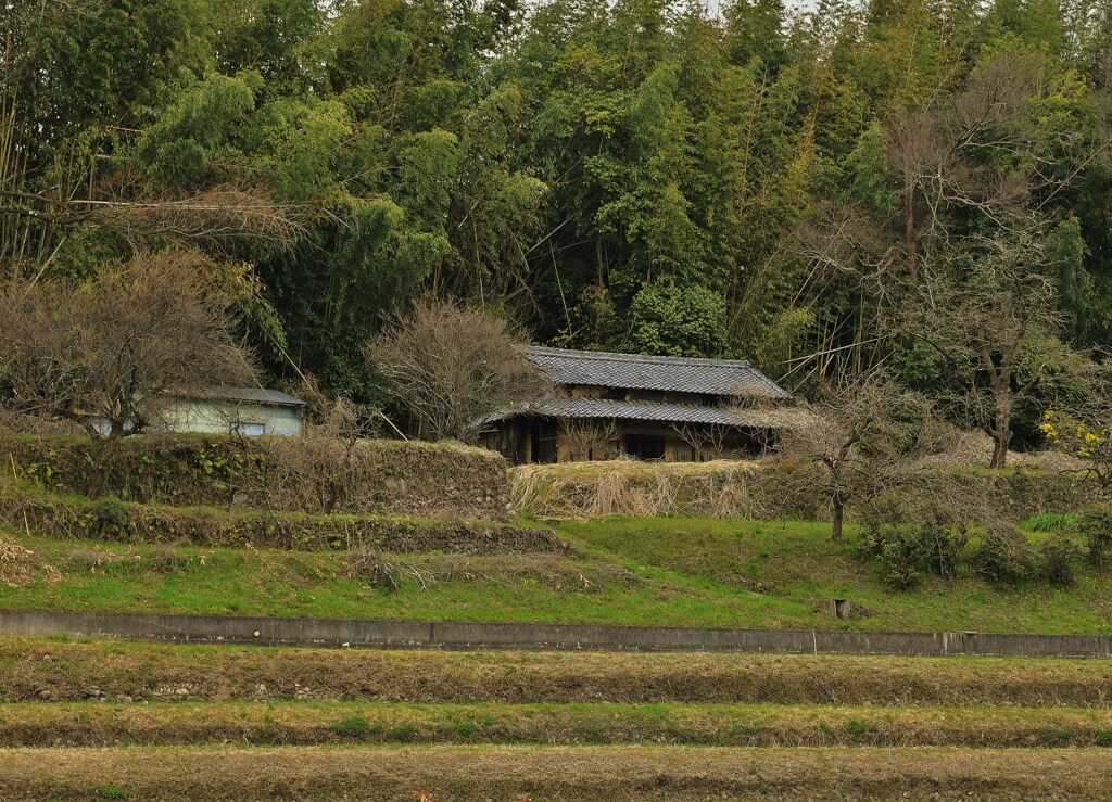 里山風景