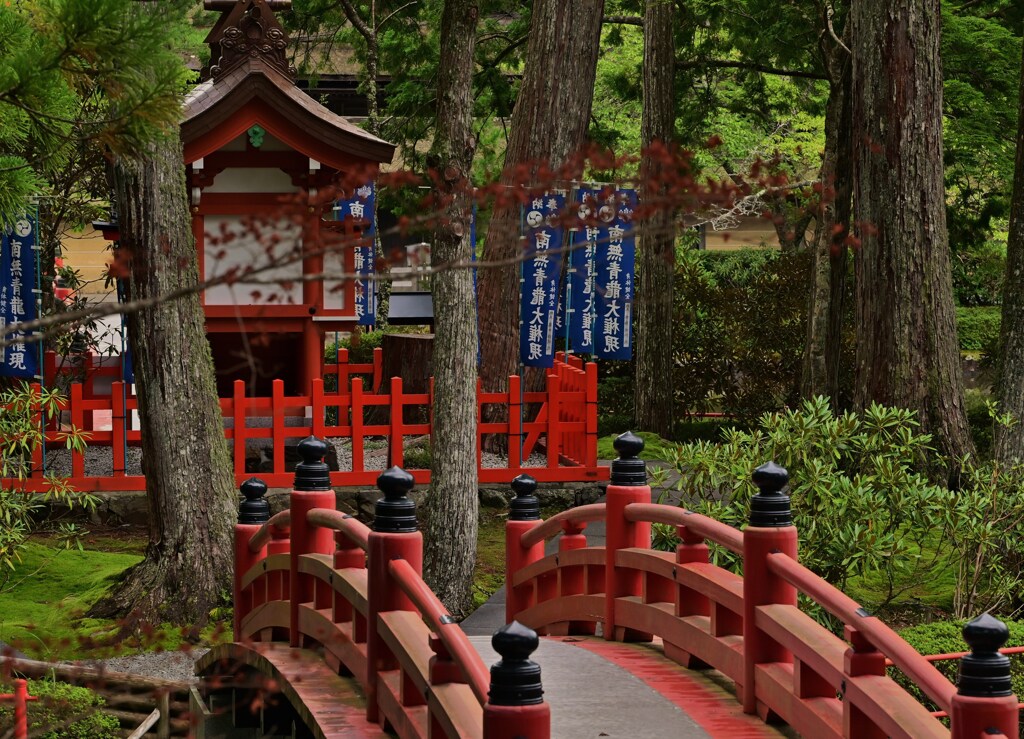 渡る