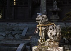 陽の当る