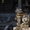 陽の当る