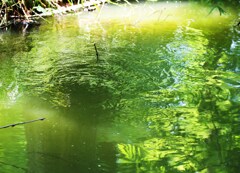 湧水
