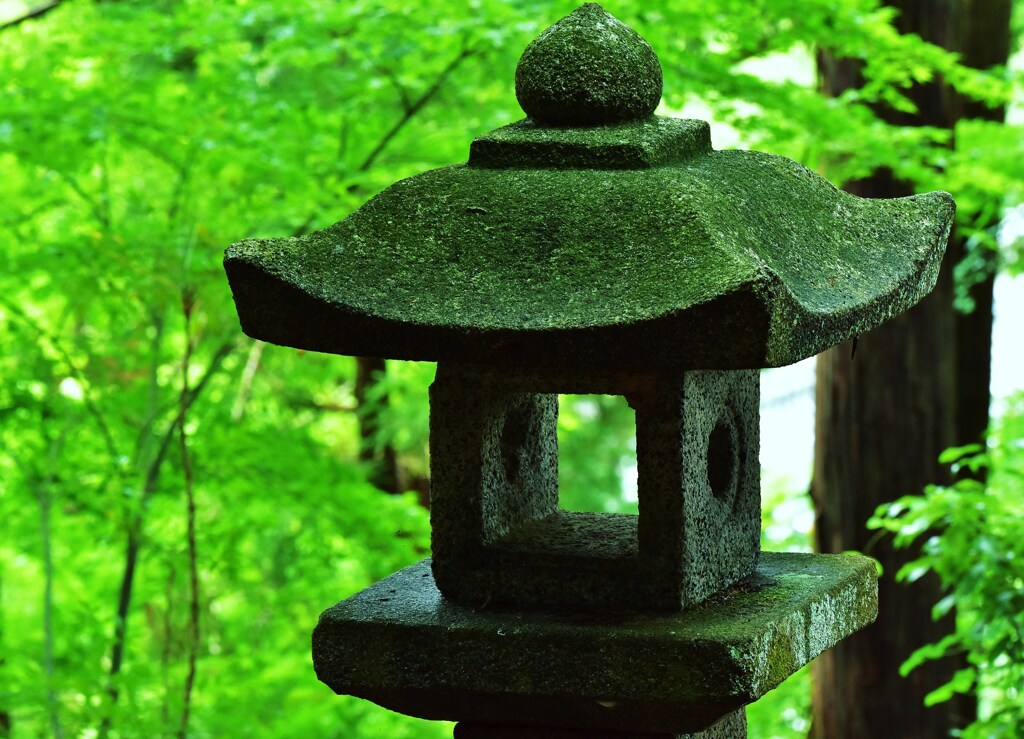 新緑の灯篭