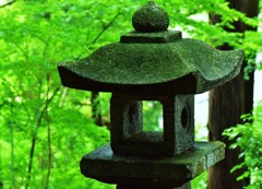 新緑の灯篭