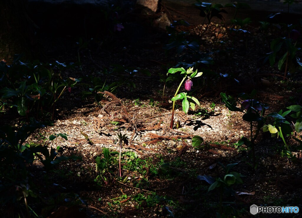 スポットライトを浴びて