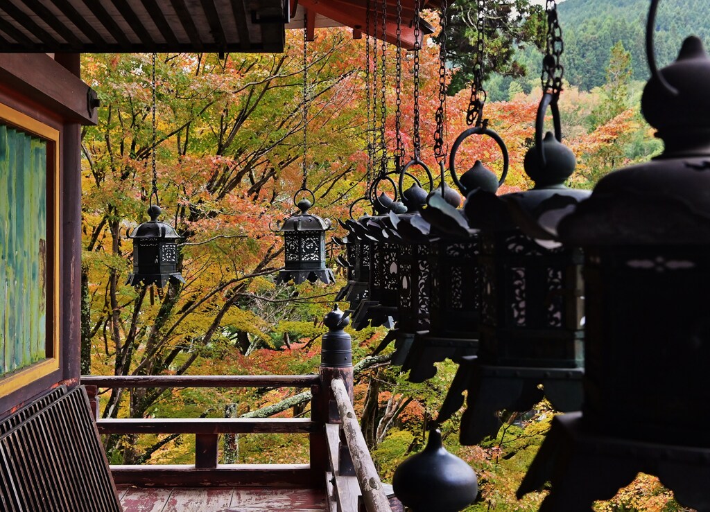 紅葉