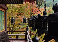 紅葉