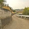 くねり降りる
