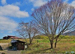 伸びやかな景色