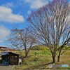 伸びやかな景色