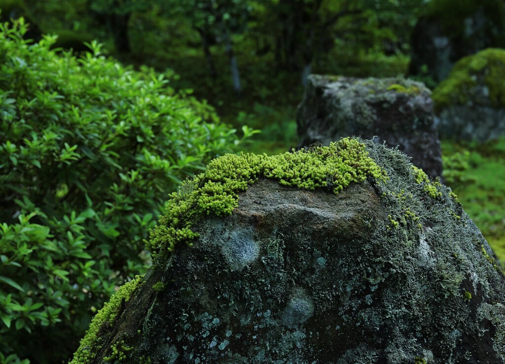 岩の年輪