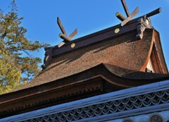 青天