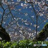 花舞台