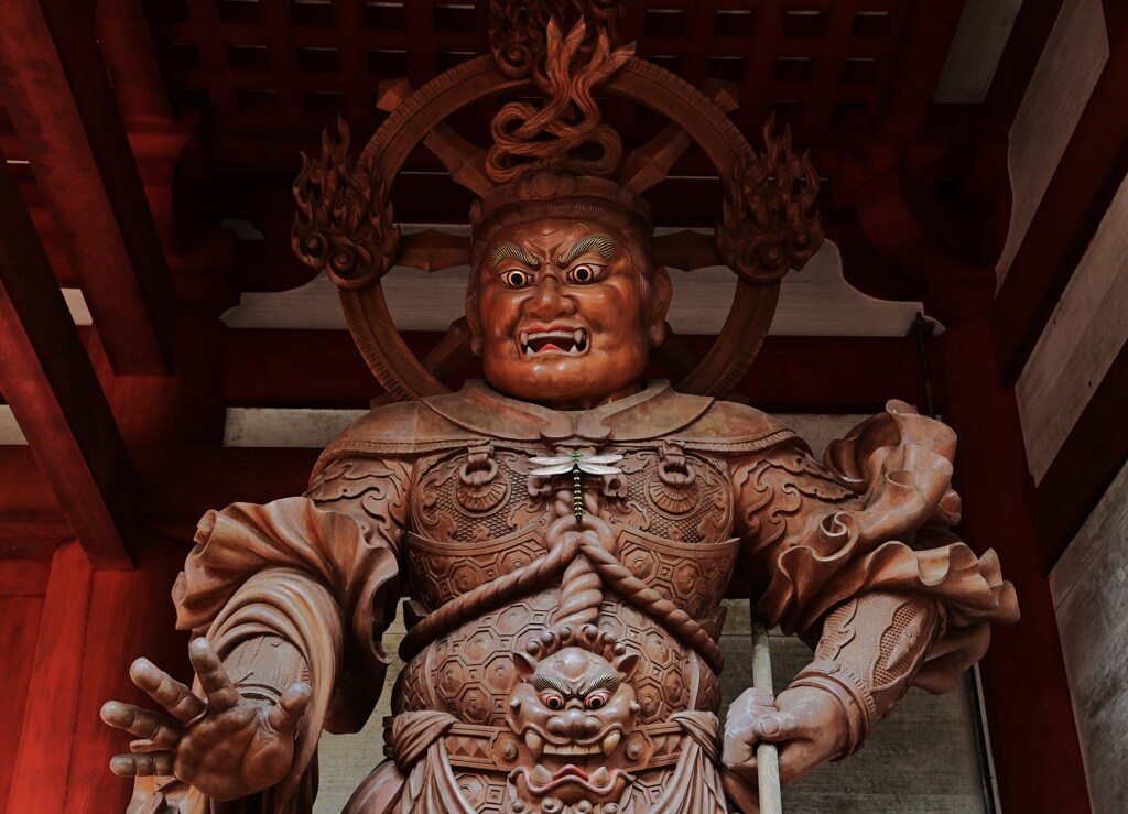 激怒