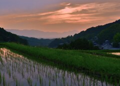 里山の夕暮