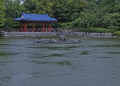 雨風