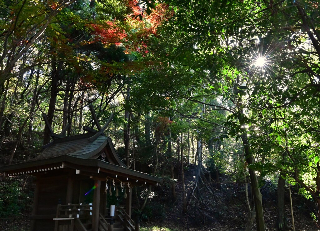 部分紅色