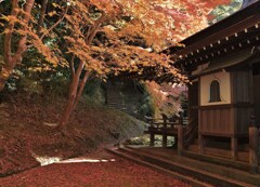 紅積
