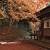 紅積