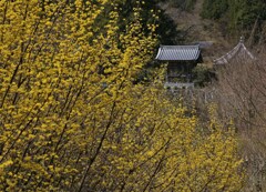 鐘楼
