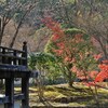 冬