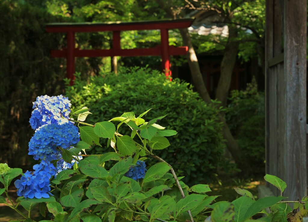 鳥居の手前