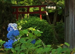 鳥居の手前