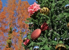 クリスマス