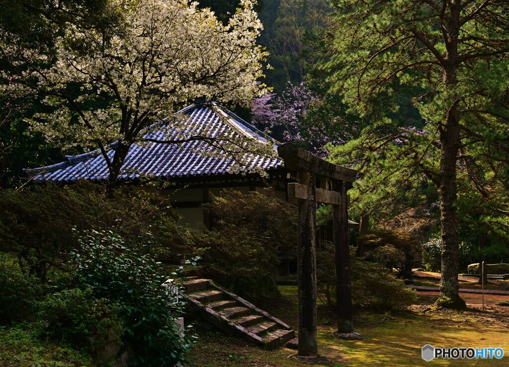 鳥居