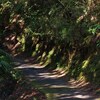 奥の細道