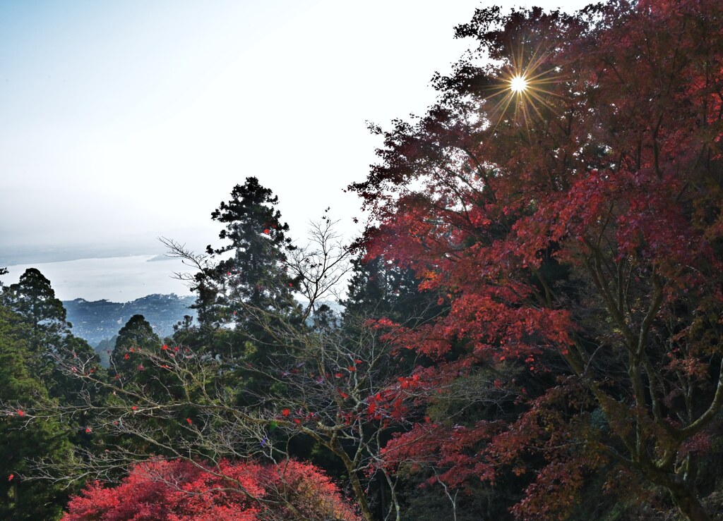 霞と紅葉