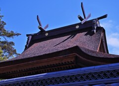 天を突く