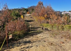 円部から方部を観る