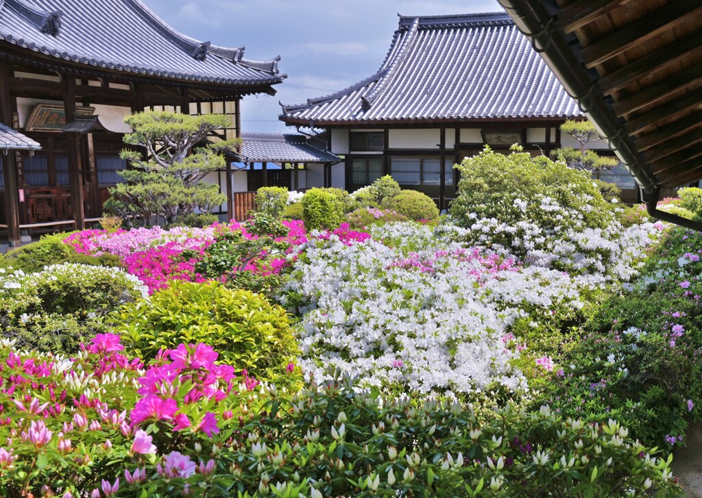 花寺の庭